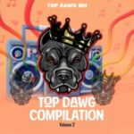 Top Dawg MH – Straata Ft The Lunatic DJz, Aneman & Onepointnine